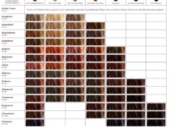 Ayluna karamellblond: Pflanzenhaarfarbe blond ohne Phenylendiamin