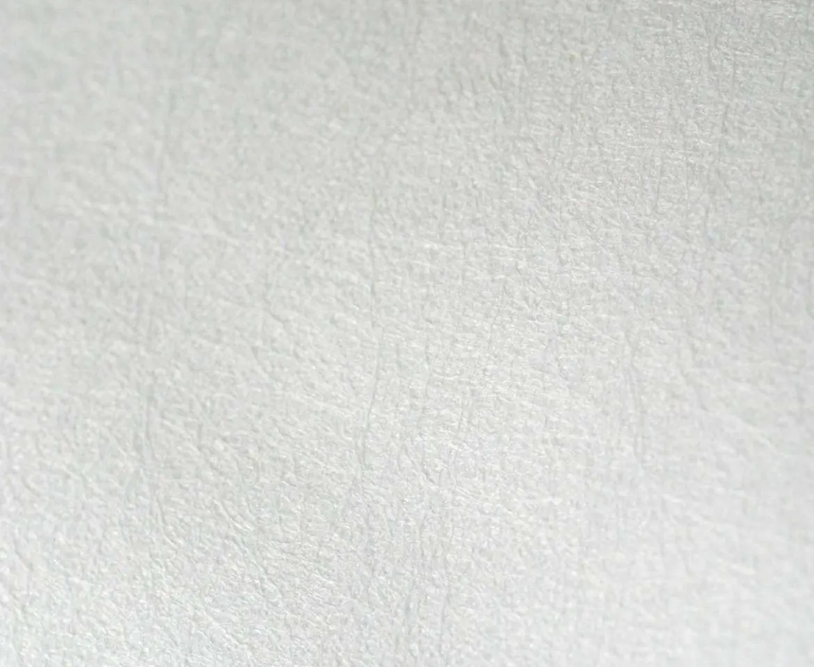 Bettdecke Bettwäsche für Allergiker - Allergenreduzierung mit Encasing