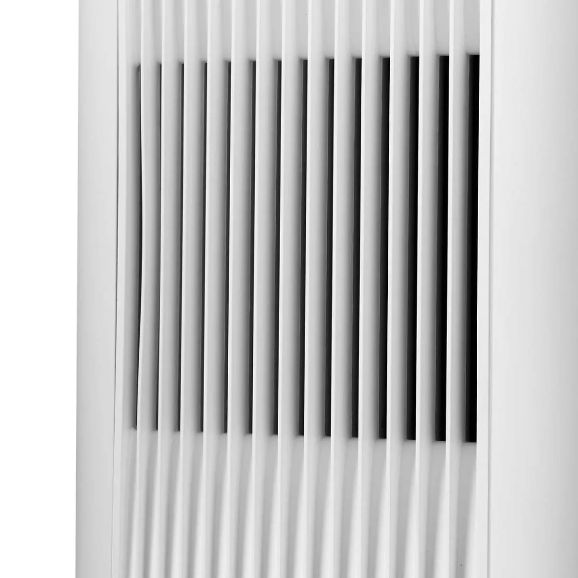 Blueair Dust Magnet 5210i - Stilvoller Staub Luftreiniger
