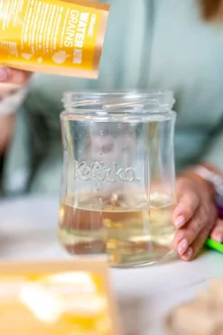 Kefirko Knollen für Wasserkefir als Starter-Kulturen