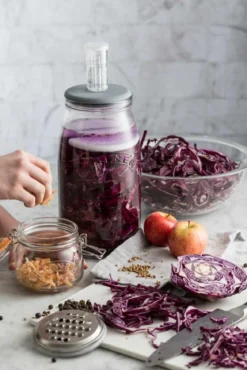 Kilner Fermentierglas 3l: Perfekte Fermentation mit Gärventil