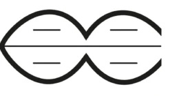 Lycona Decke duo Bettdecken aus natürlichen Materialien